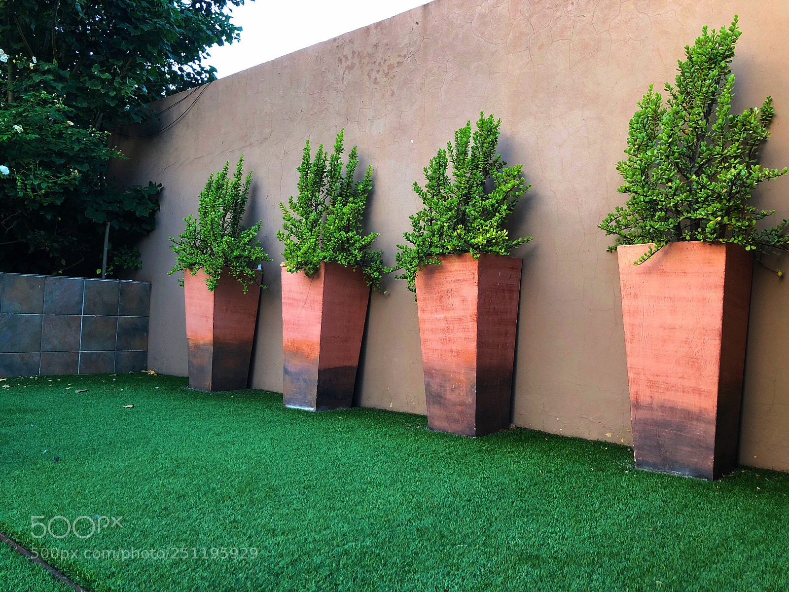 Apple iPhone X sample photo. Shrubs annd pots photography