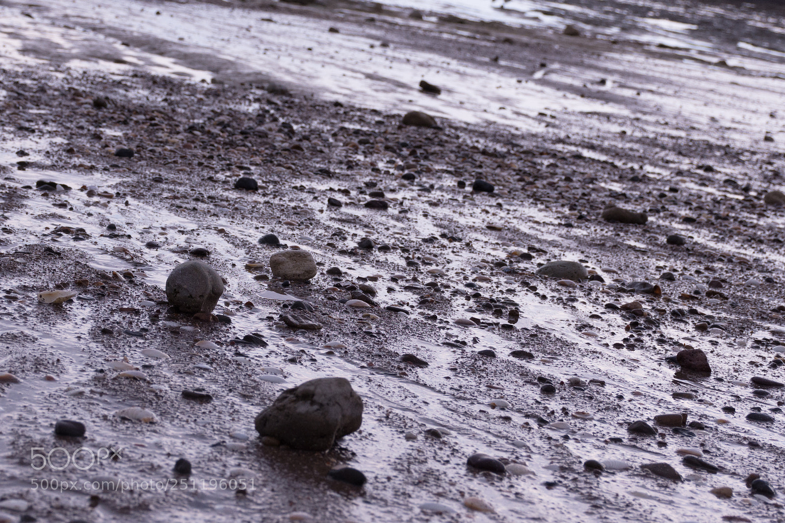 Nikon D7200 sample photo. Dizzy ground photography