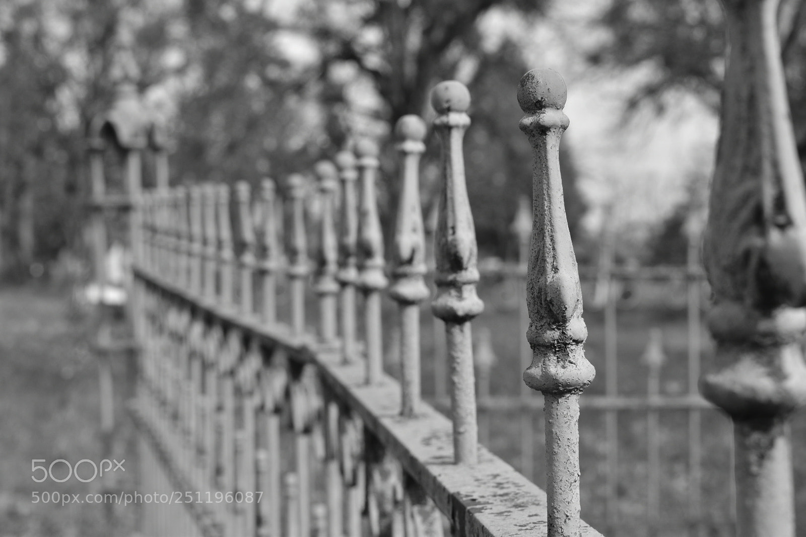 Nikon D5600 sample photo. Untitled photography