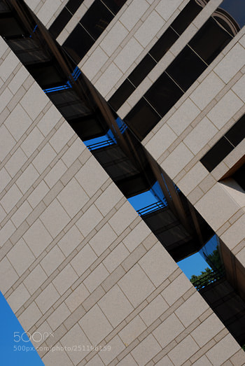 Nikon D60 sample photo. Td photography