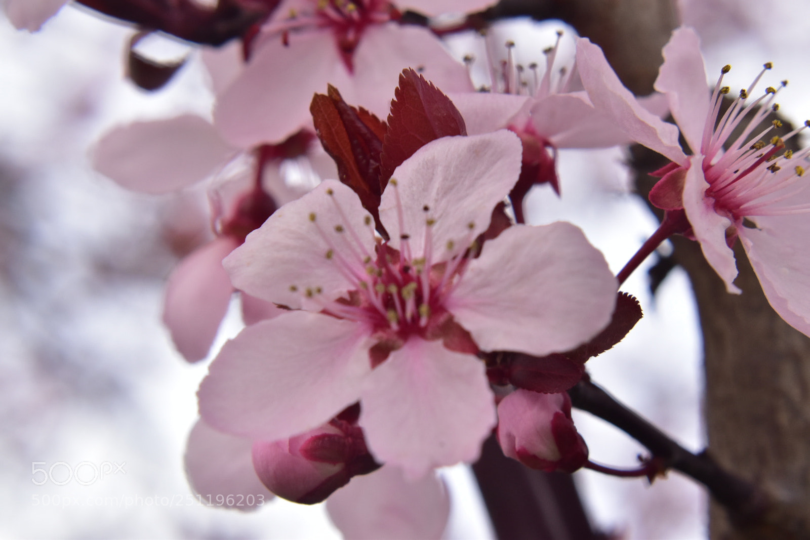 Nikon D5600 sample photo. Untitled photography