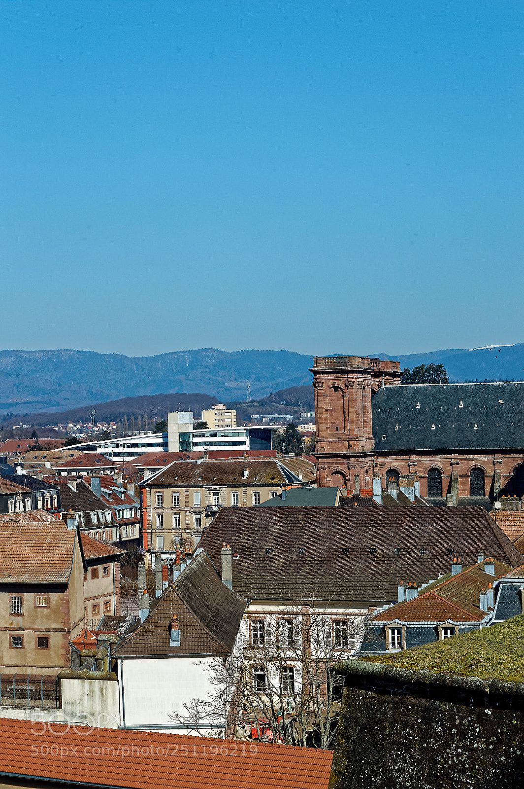 Nikon D3200 sample photo. View from the lion photography