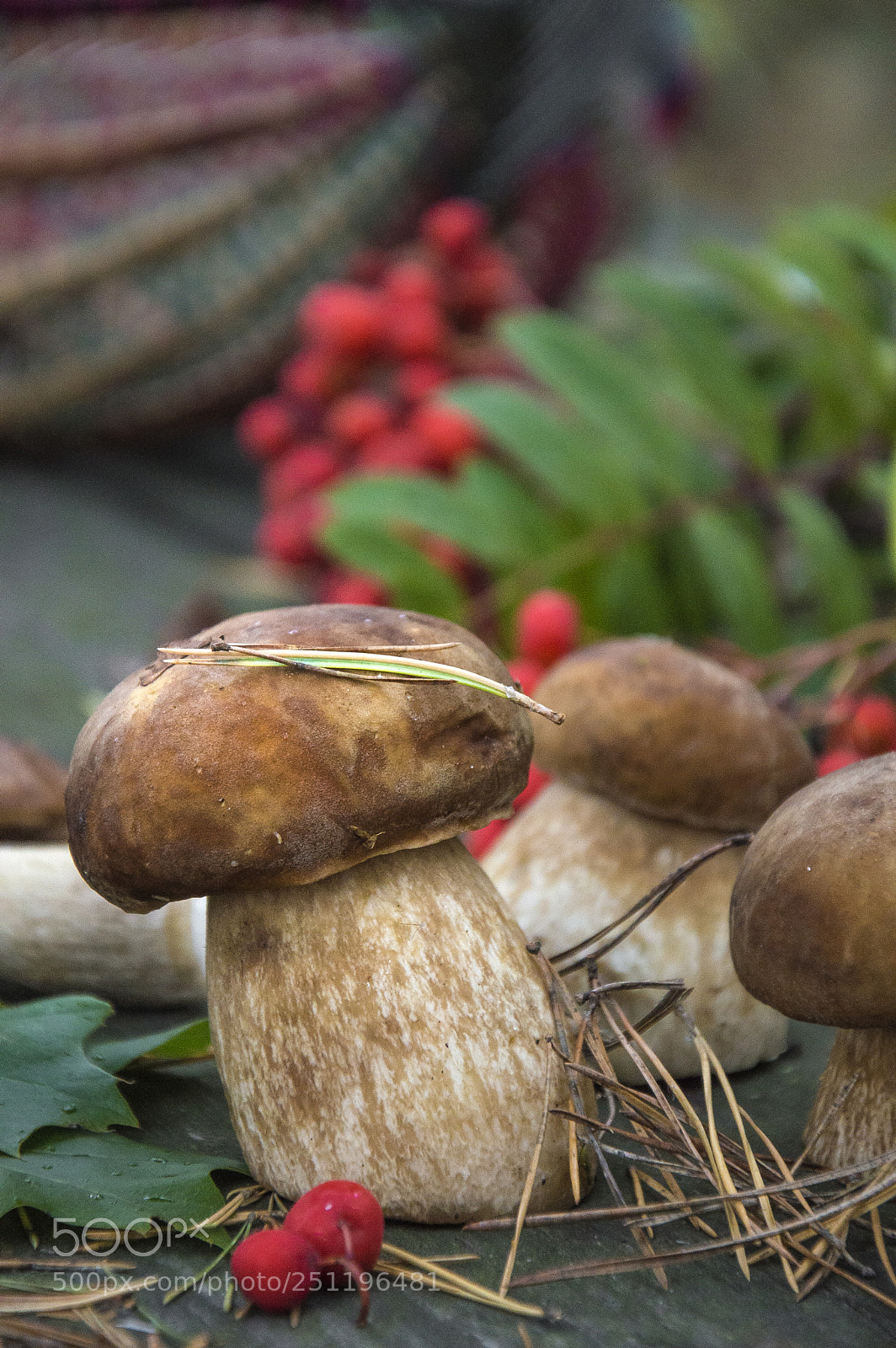 Nikon D3200 sample photo. Very beautiful and fresh photography