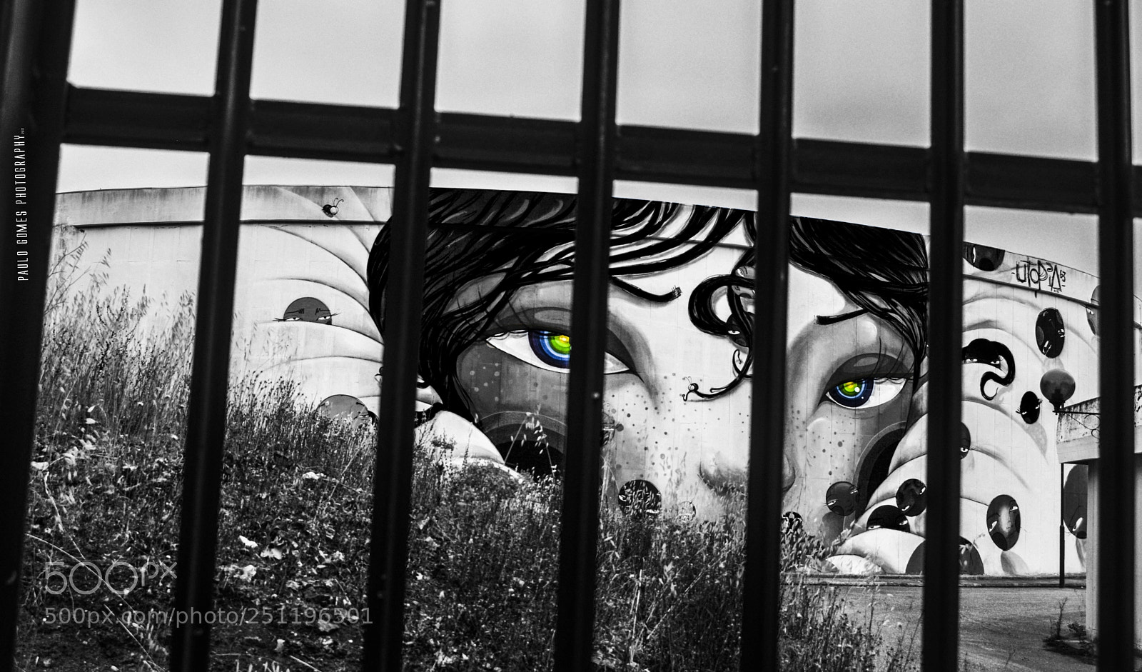 Nikon D3300 sample photo. Seus olhos t m photography