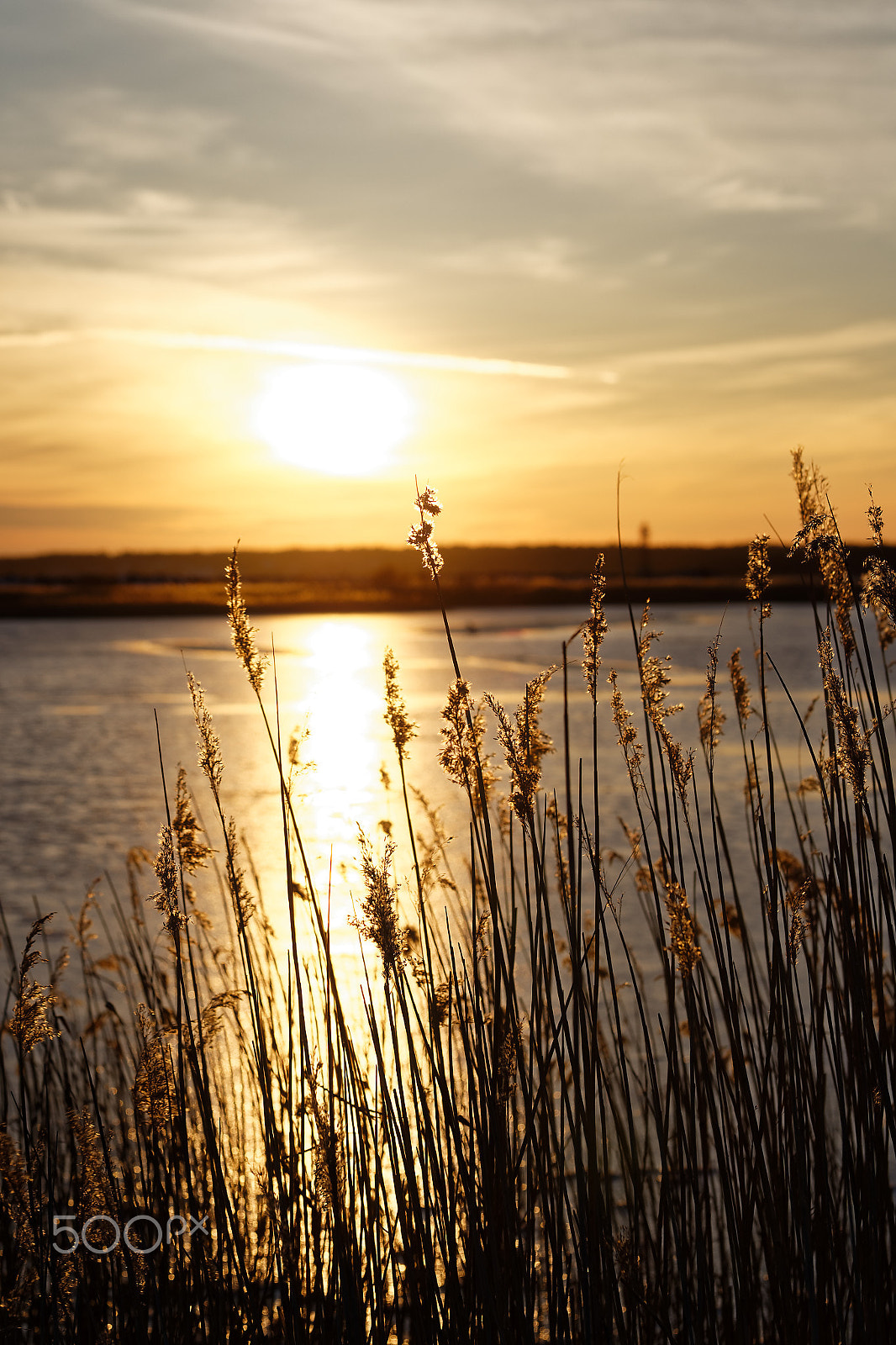 Canon EF 100mm F2.8L Macro IS USM sample photo. Sunset photography