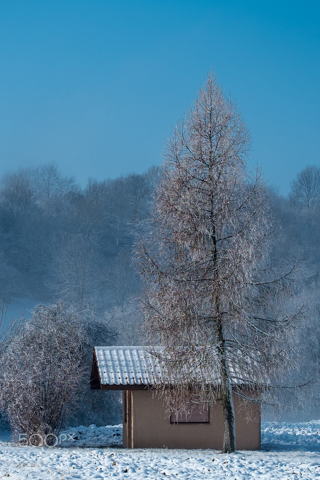 Fujifilm X-Pro1 sample photo. Still winter photography