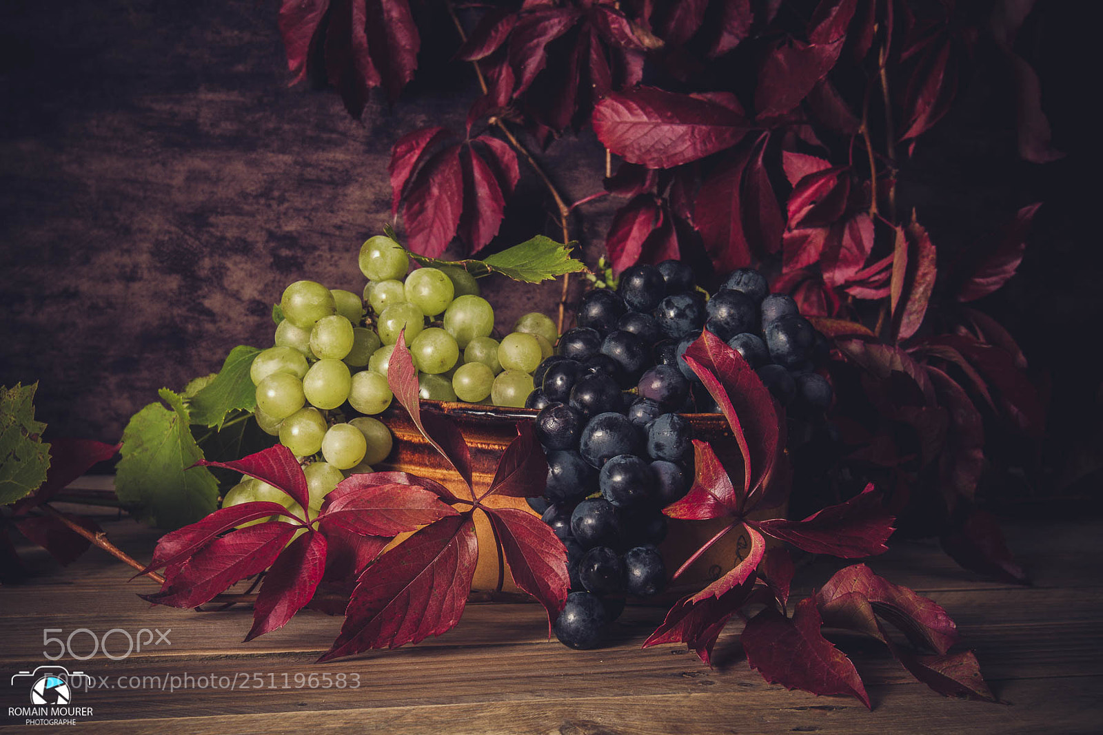 Canon EOS 70D sample photo. 52semaines52photos - 24 photography
