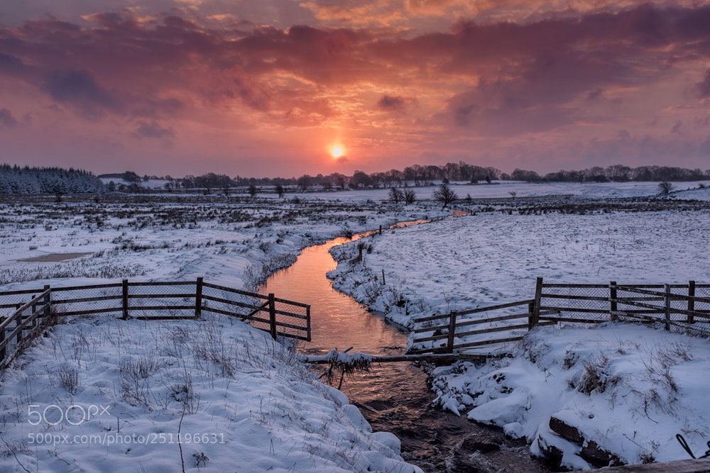 Fujifilm X100F sample photo. Sunrise snow cover photography