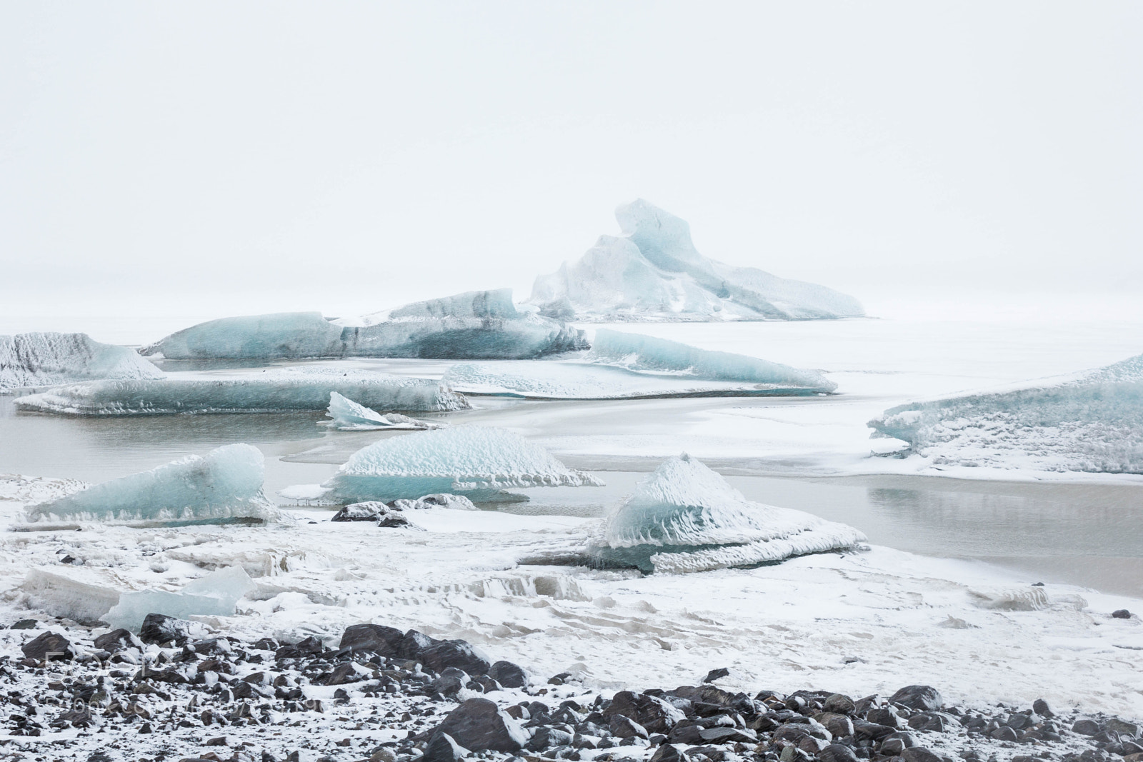 Canon EOS 60D sample photo. Freezed nature photography