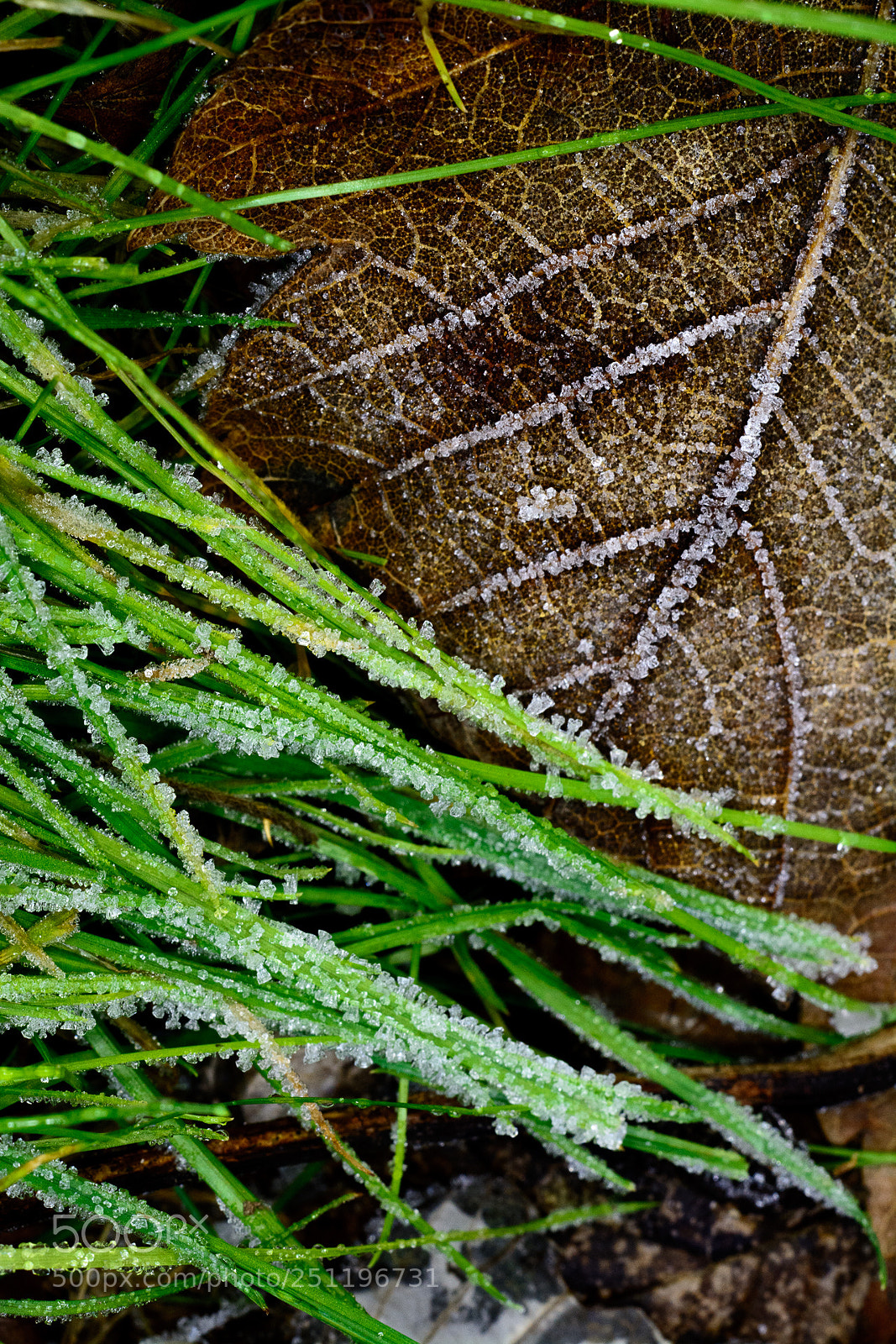 Nikon D7100 sample photo. Crystals photography