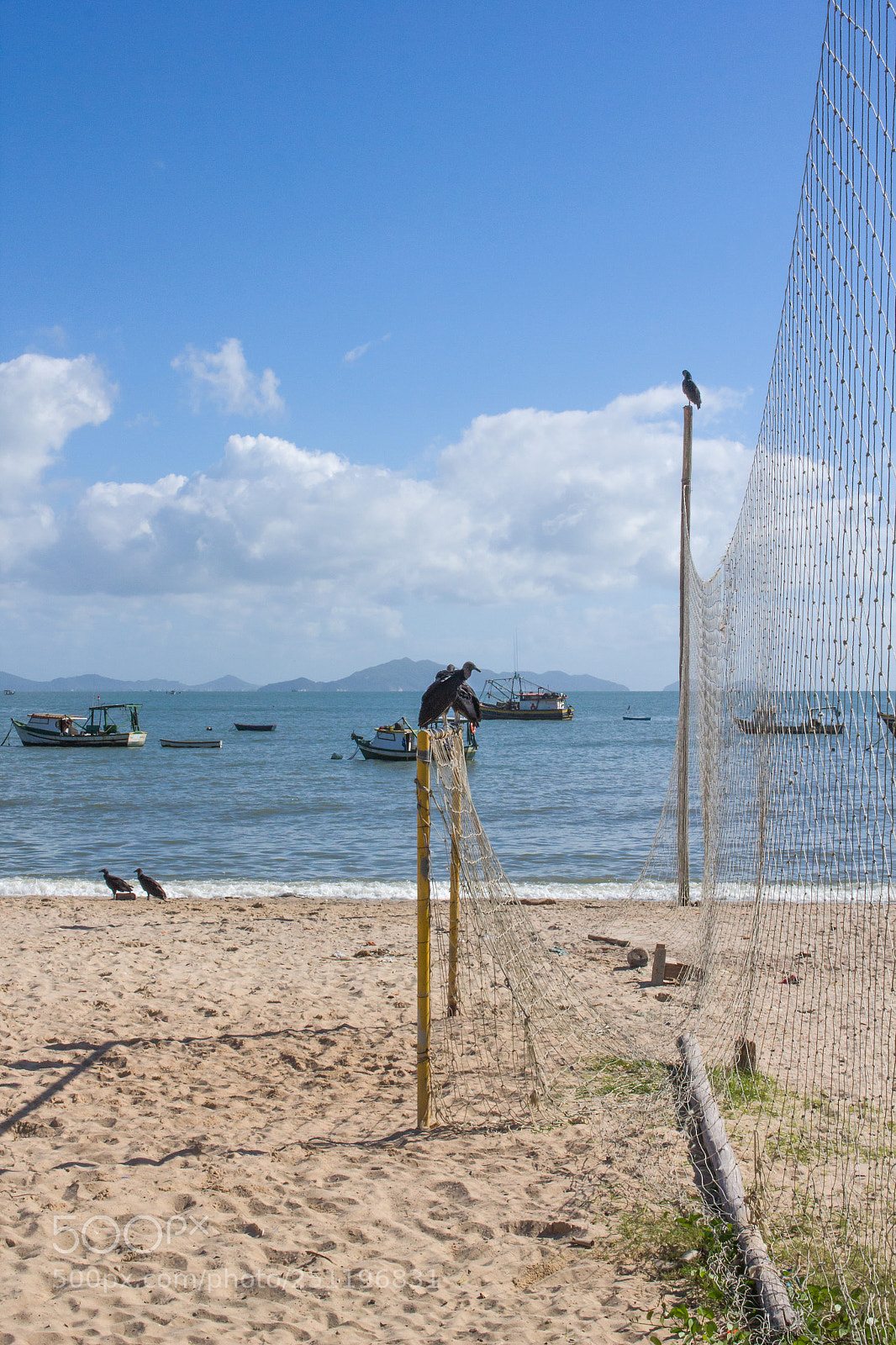 Canon EOS 60D sample photo. Janeiro/2018 photography