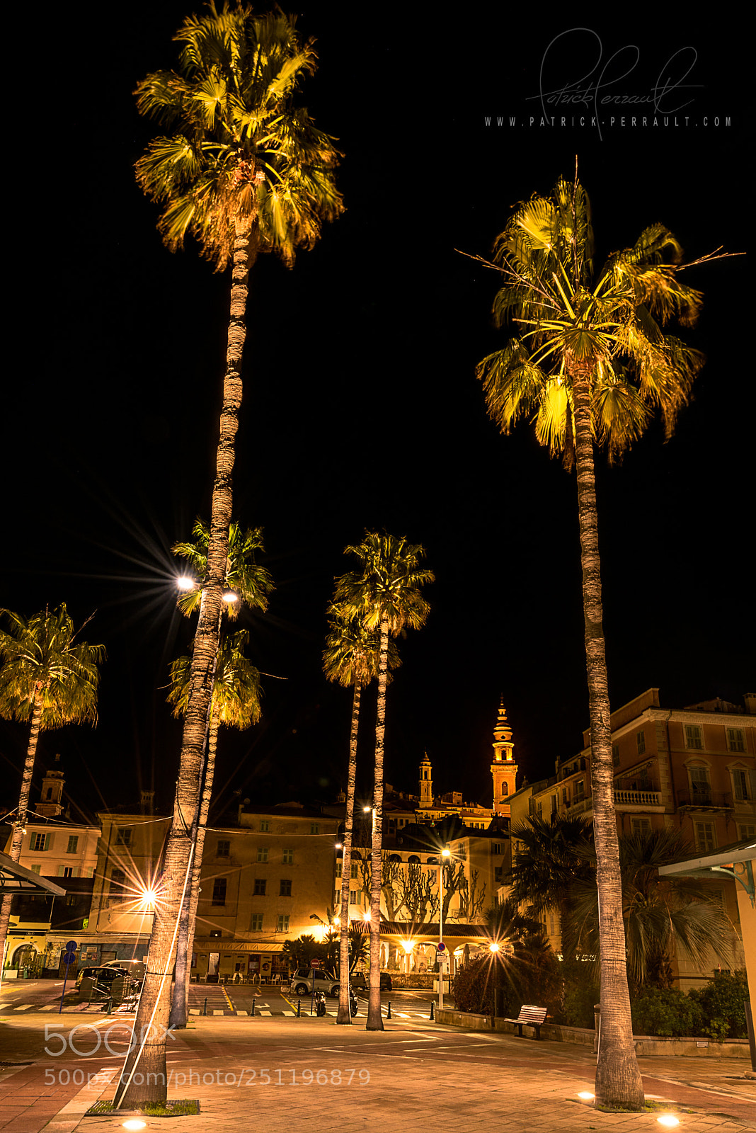 Nikon D810 sample photo. Palm menton photography