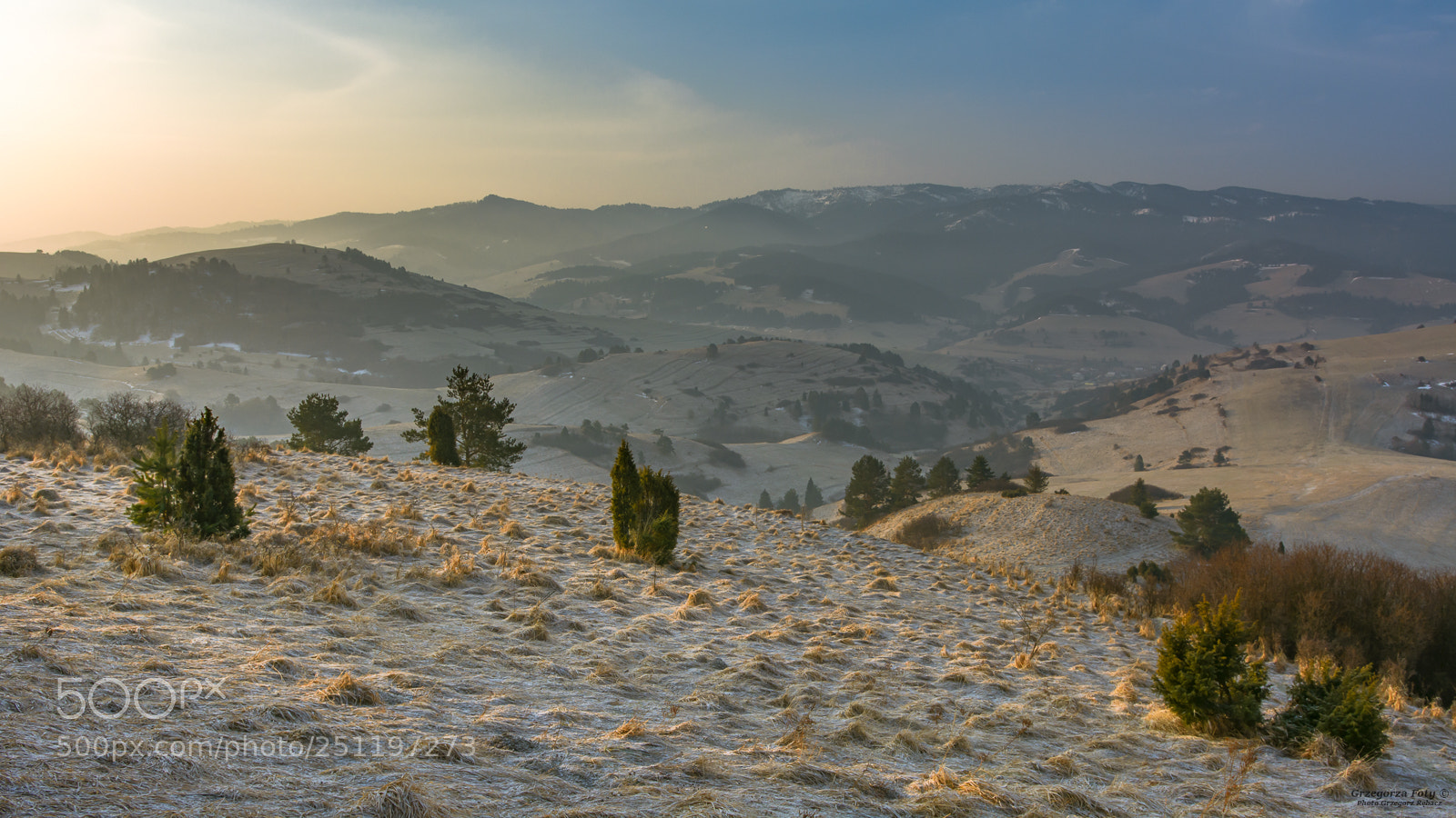 Nikon D7100 sample photo. Morning in warm colors photography