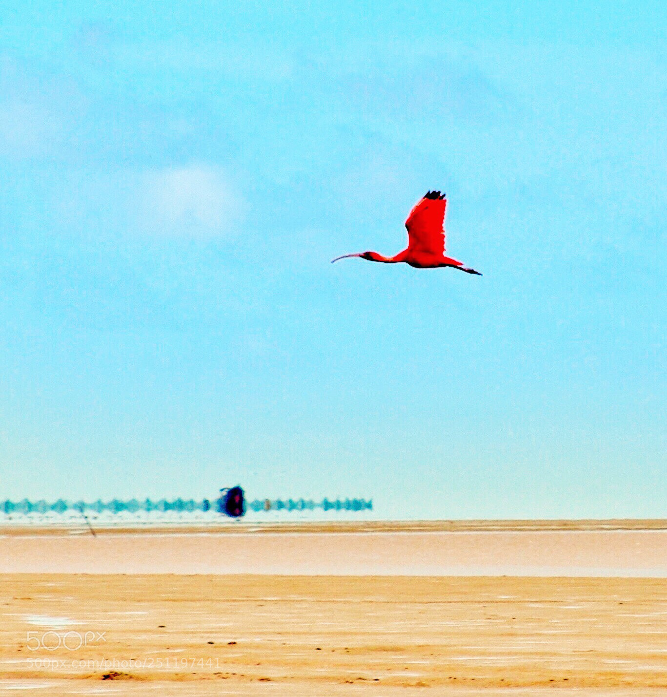 Nikon D7000 sample photo. The matapica beach photography