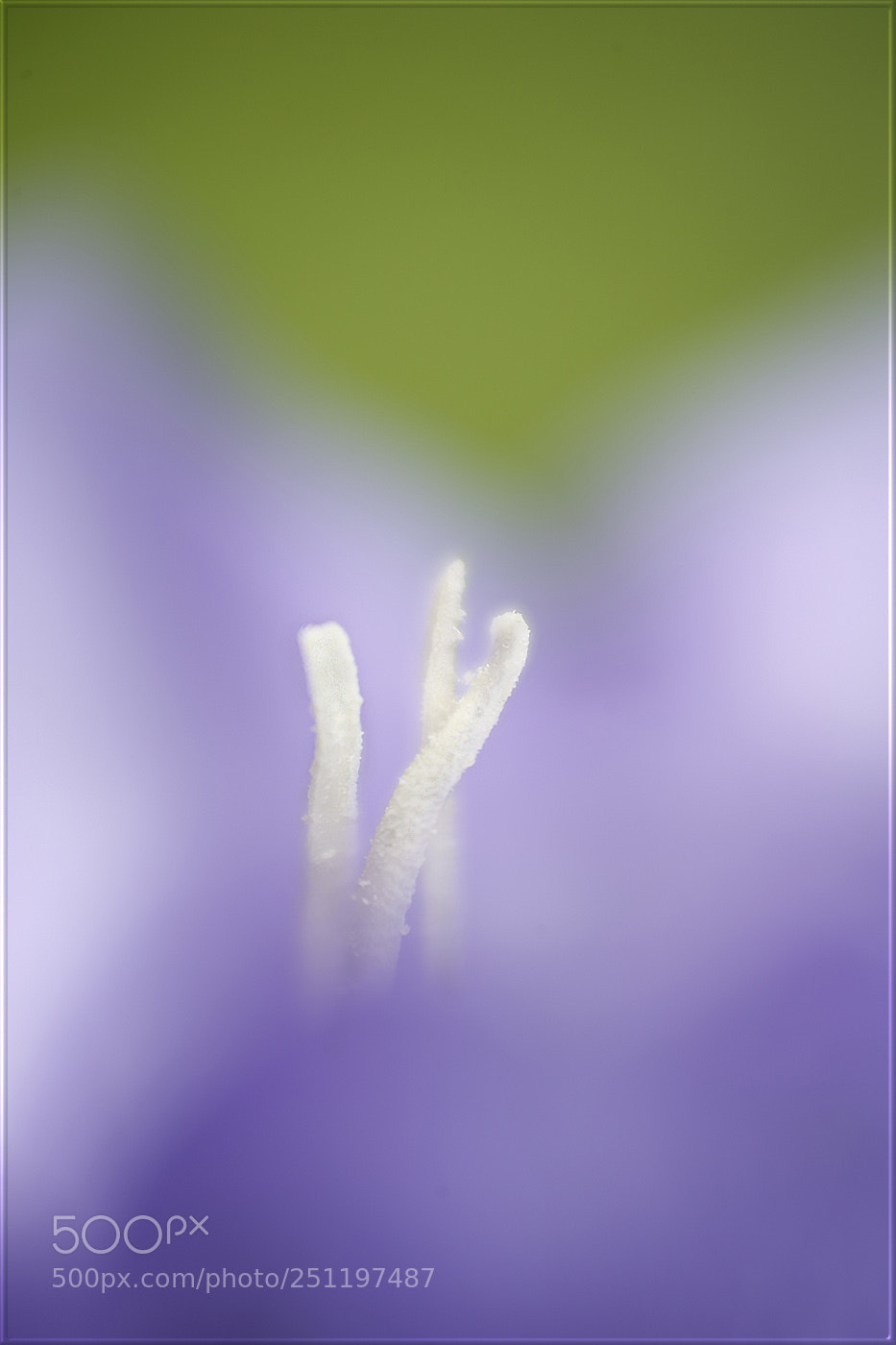 Canon EOS-1D X sample photo. Hohe ziele setzen ... photography