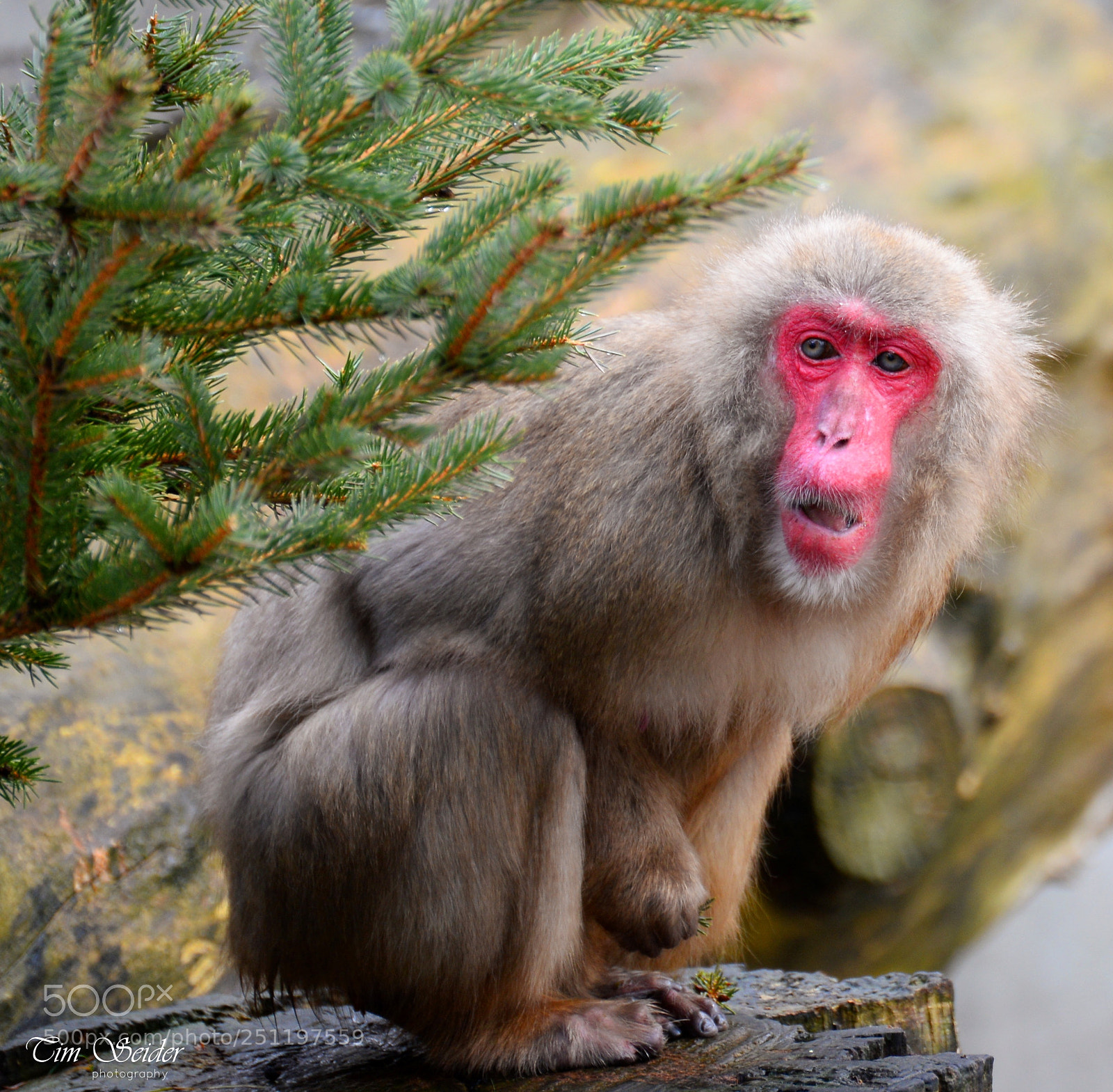 Nikon D610 sample photo. Confused photography
