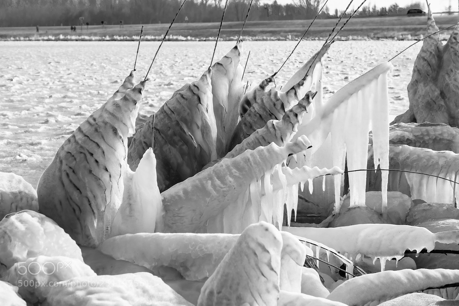 Nikon D7200 sample photo. Icy reed photography