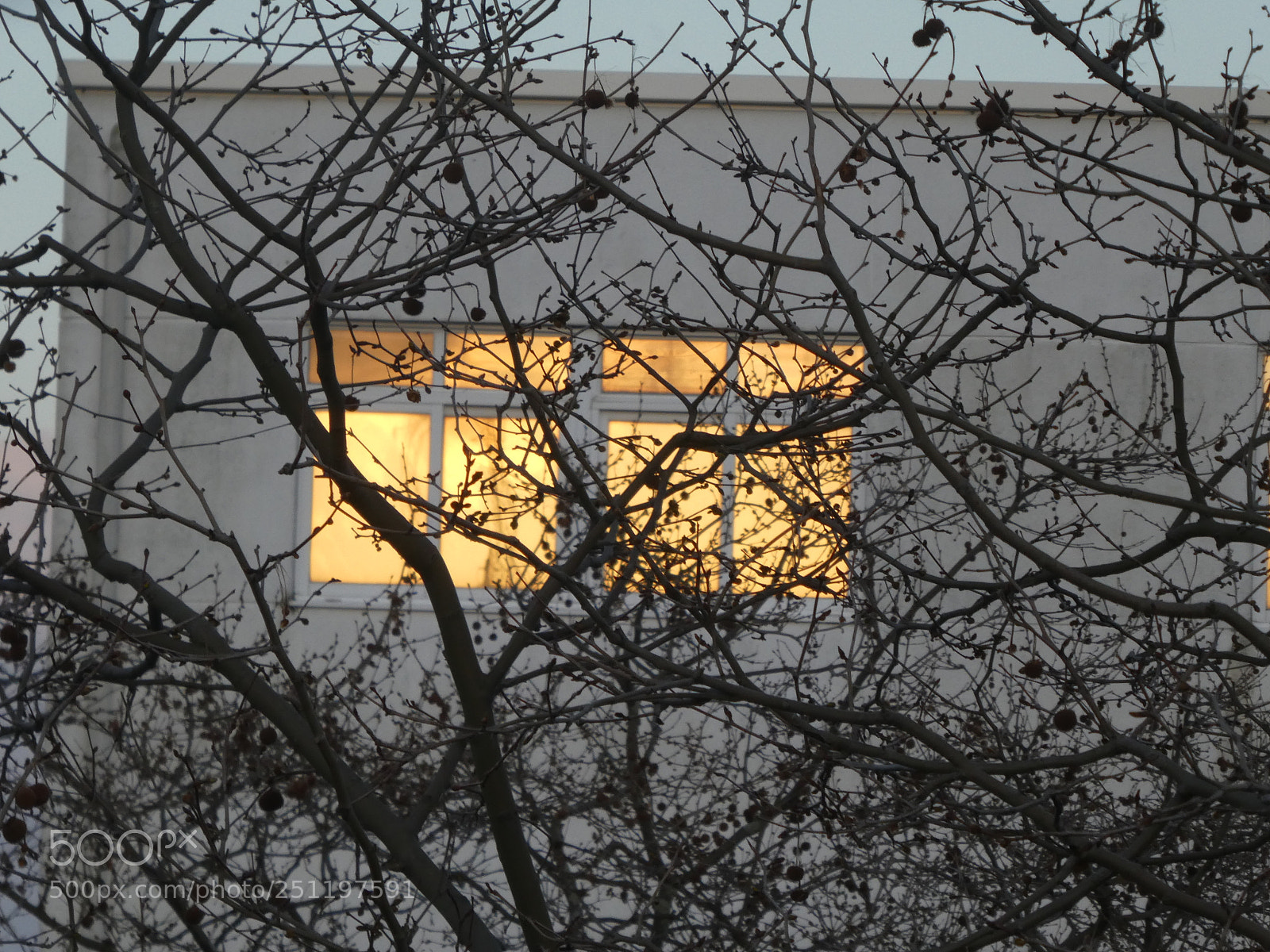 Panasonic DMC-TZ81 sample photo. Window photography