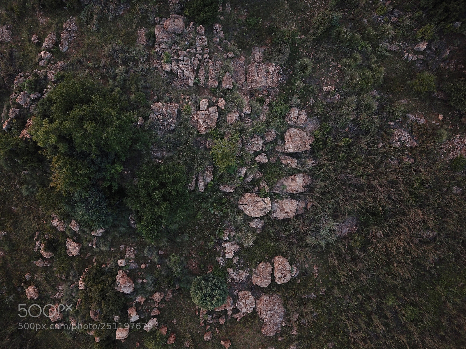 DJI FC220 sample photo. Untitled photography