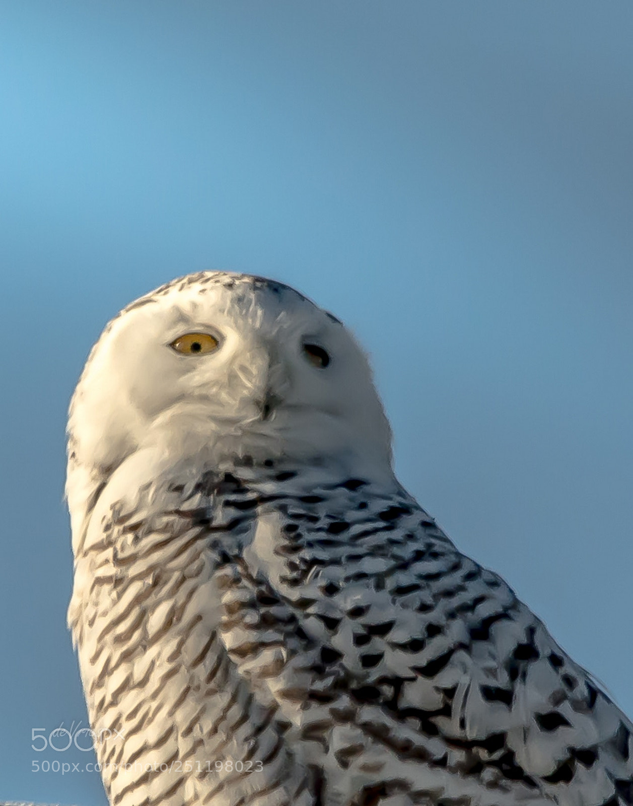 Nikon D7100 sample photo. Do you have any photography