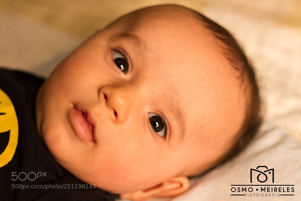 Canon EOS 7D sample photo. Img photography