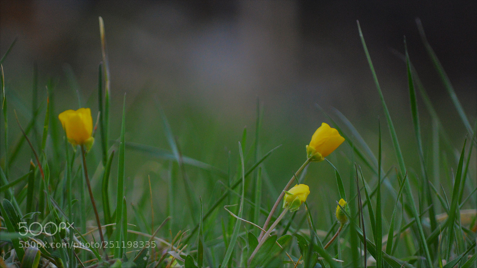 Nikon D3200 sample photo. Untitled photography
