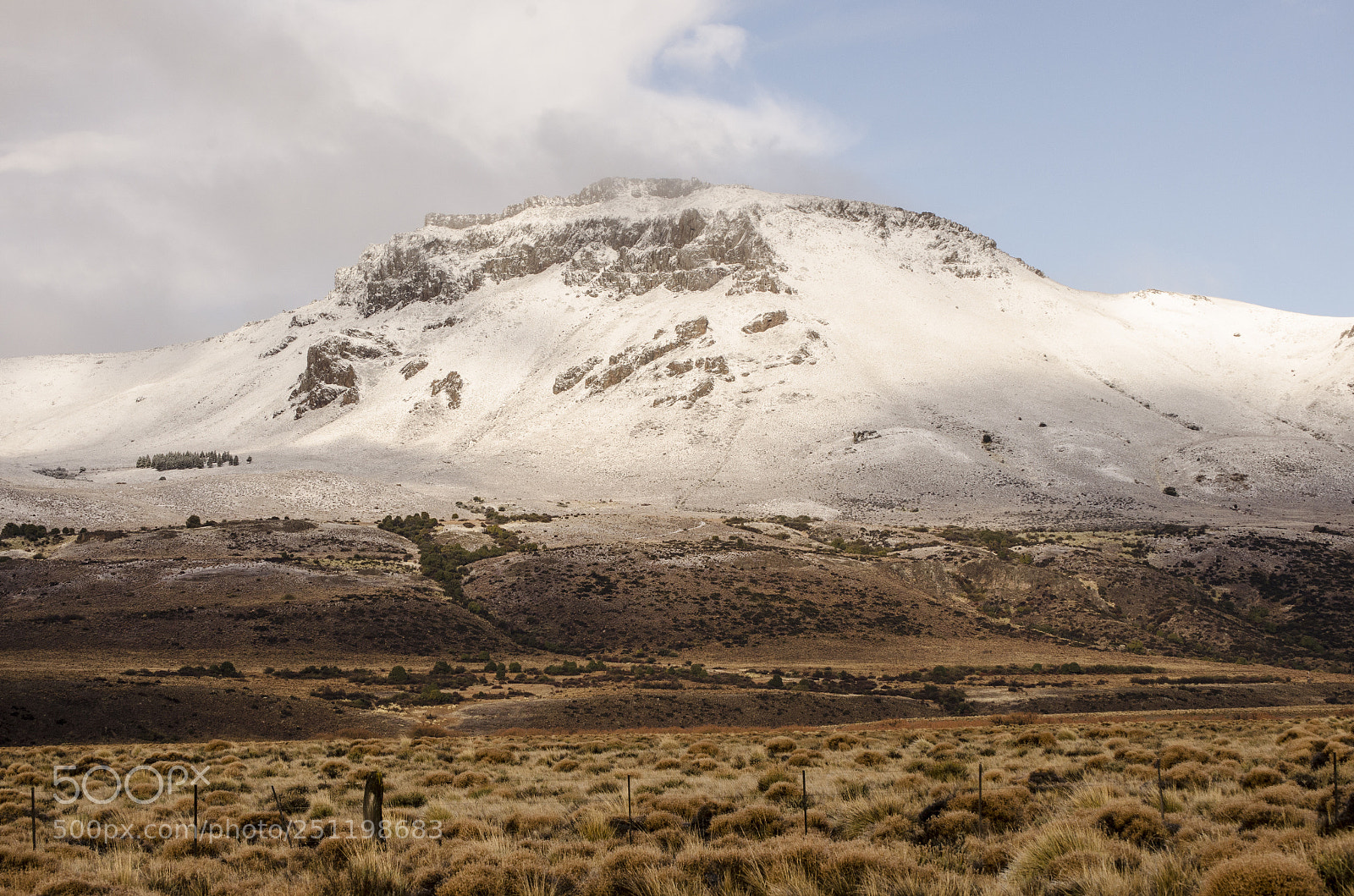 Nikon D5100 sample photo. Let there be white photography