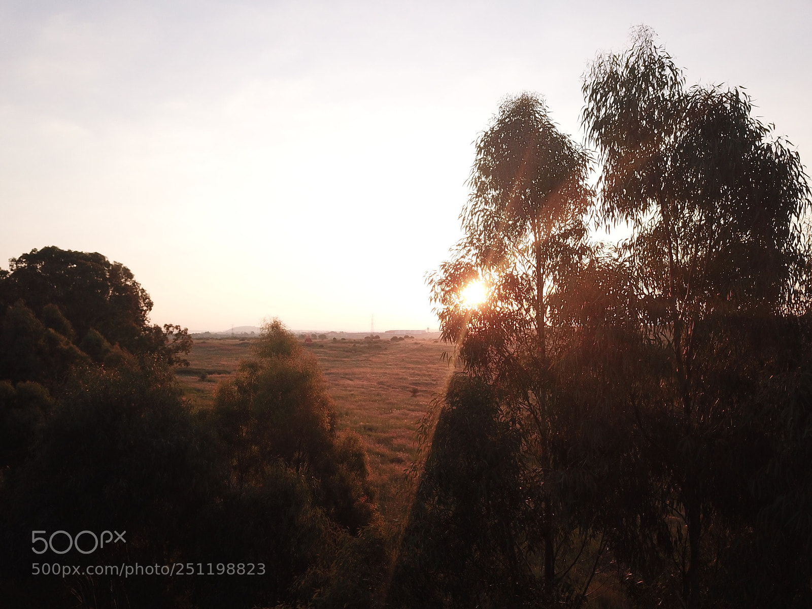DJI FC220 sample photo. Untitled photography
