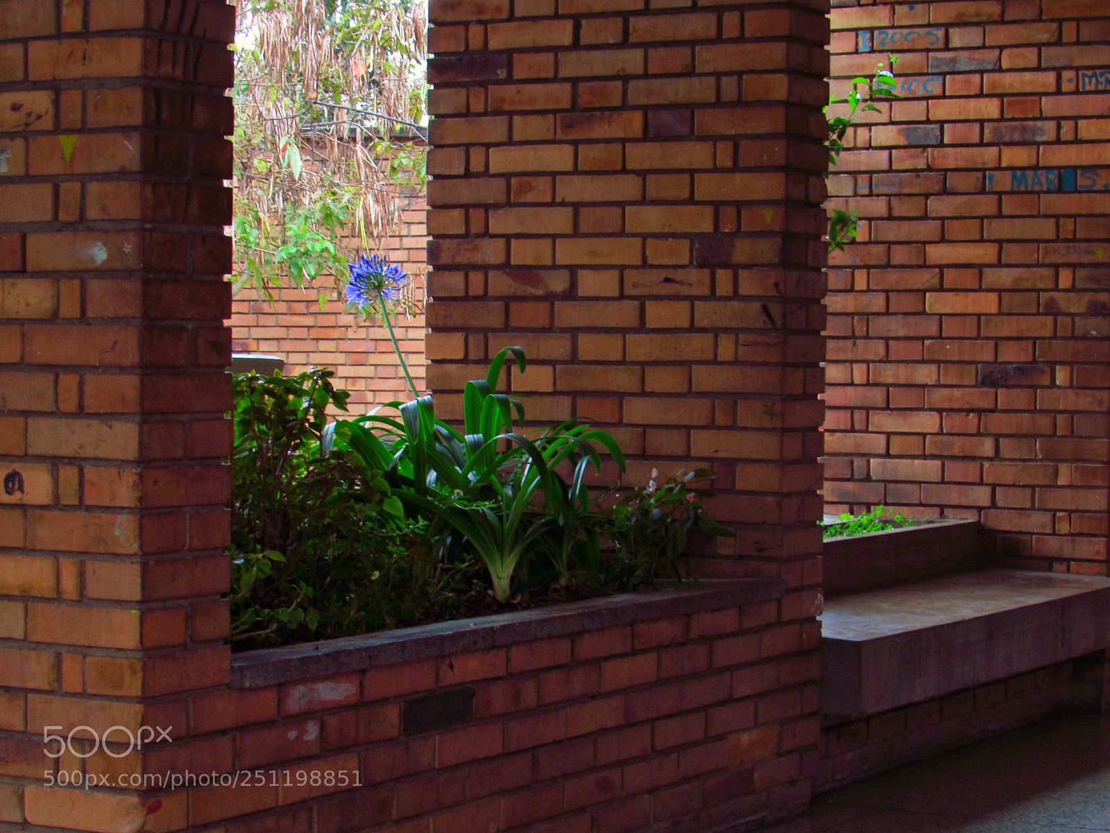 Canon PowerShot SX530 HS sample photo. (2.1) materas | plant pots photography