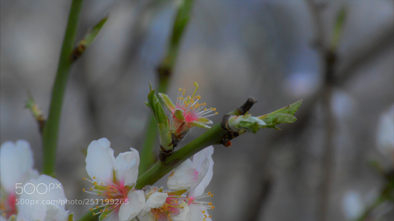 Nikon D3200 sample photo. Untitled photography