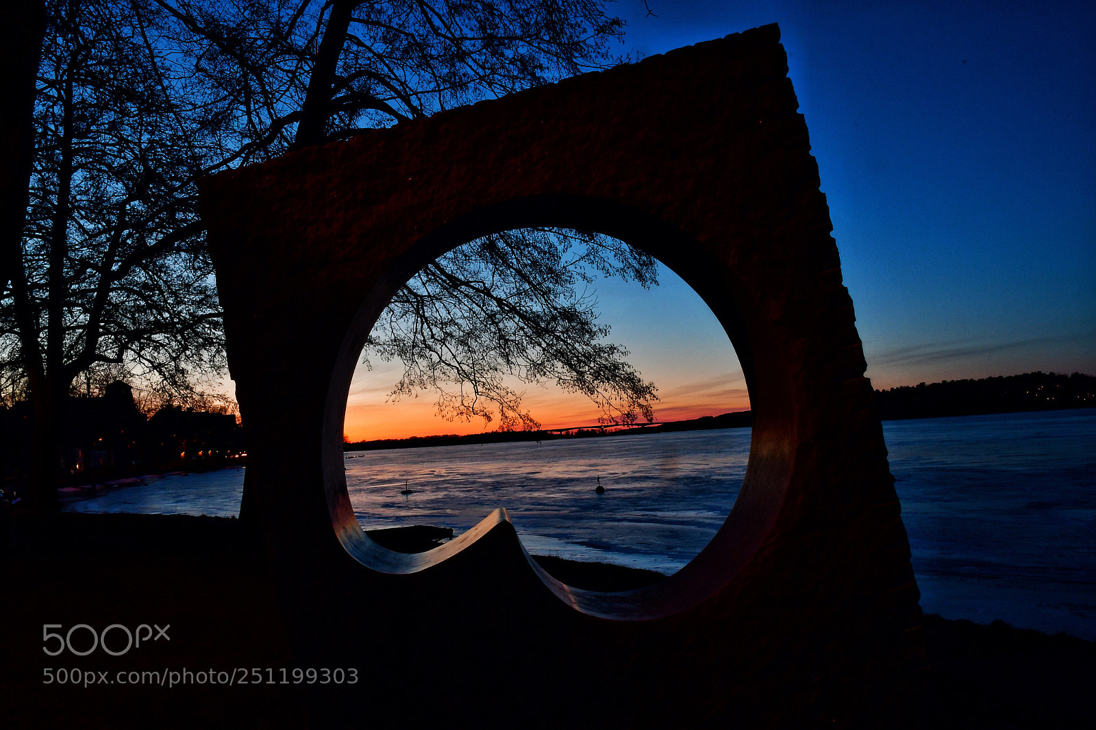 Nikon D500 sample photo. Untitled photography
