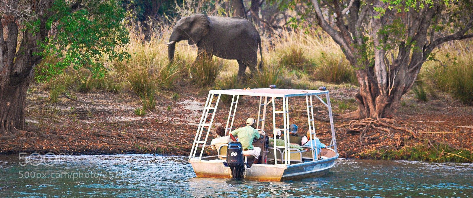 Nikon D60 sample photo. River safari photography
