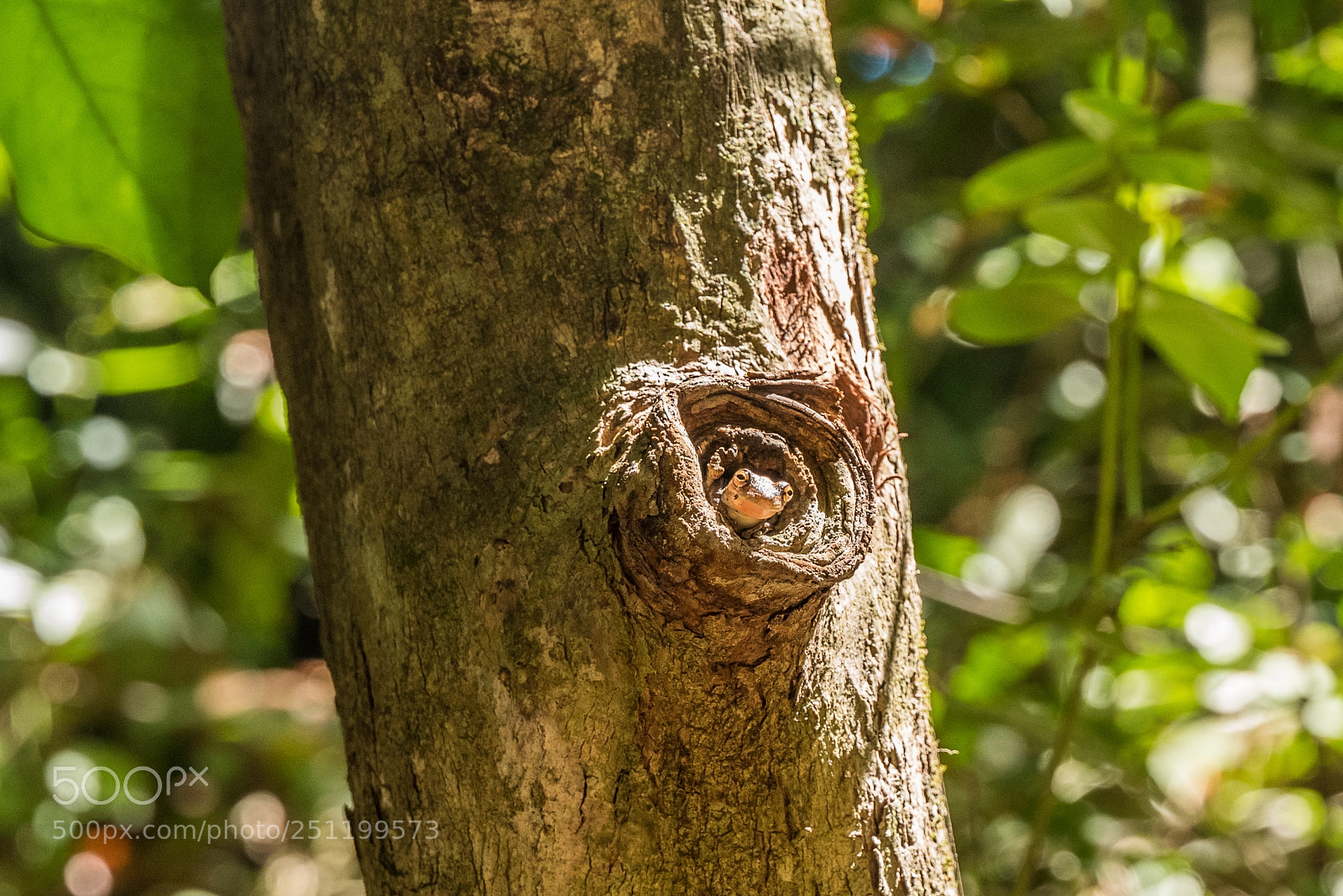 Leica SL (Typ 601) sample photo. Hello!! photography