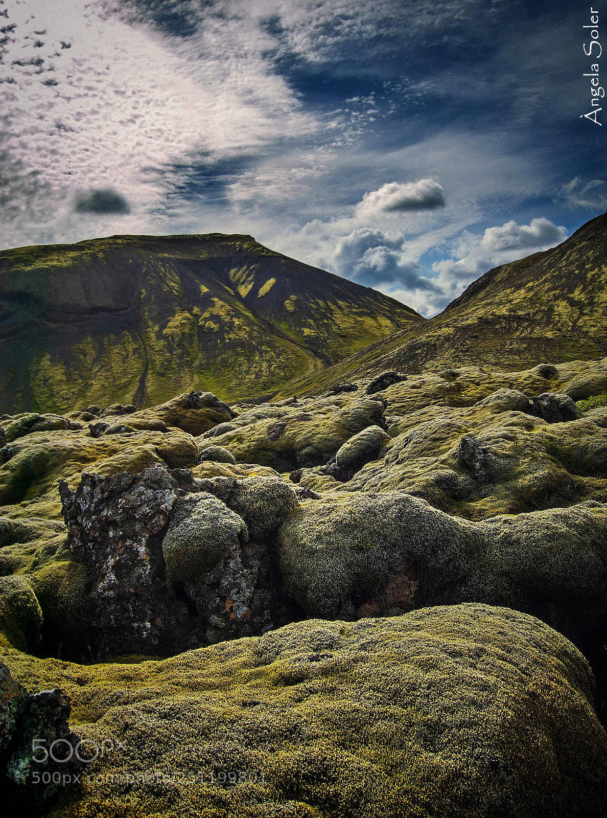 Nikon D50 sample photo. Iceland moss field photography