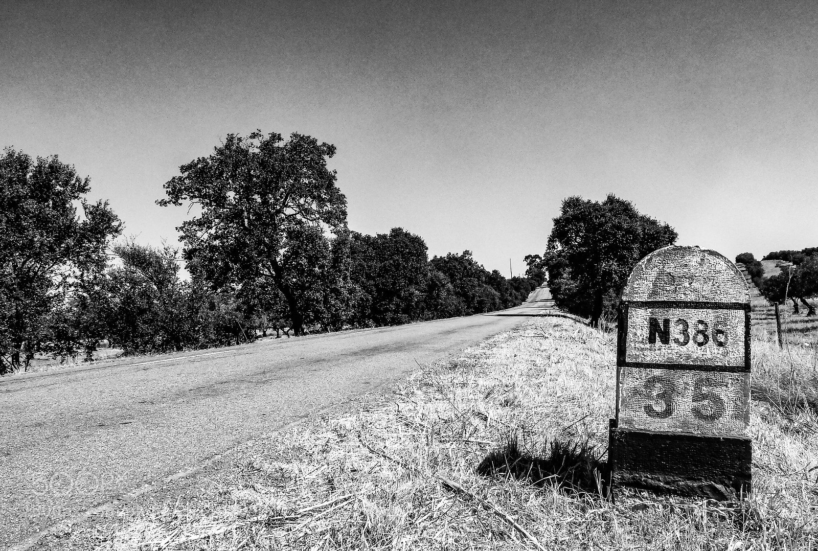 Fujifilm X20 sample photo. Untitled photography