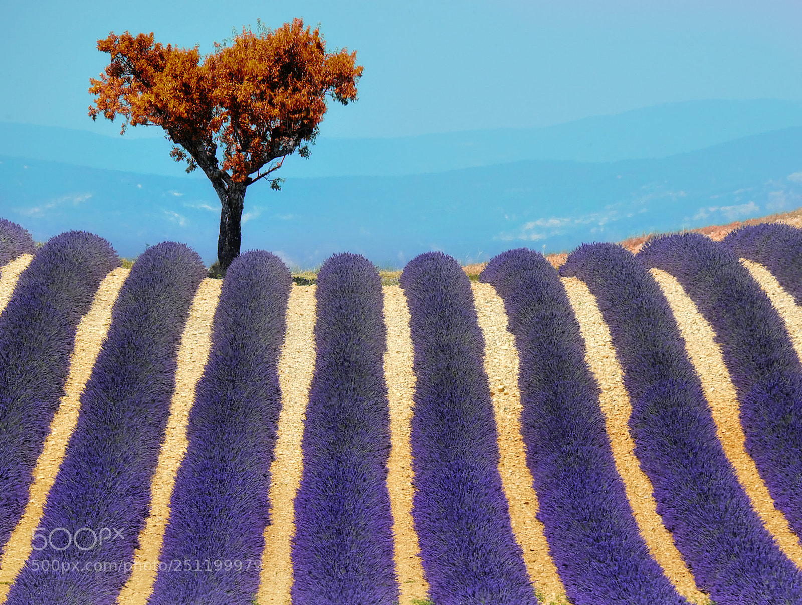 Fujifilm X-E2 sample photo. Provençal dream photography