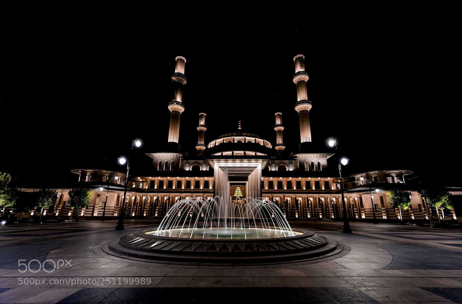 Sony a6000 sample photo. Millet camii photography