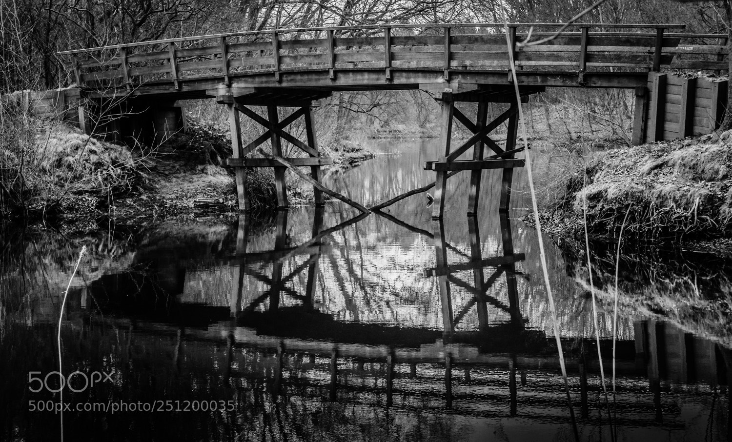 Panasonic Lumix DMC-LX100 sample photo. Bridge photography