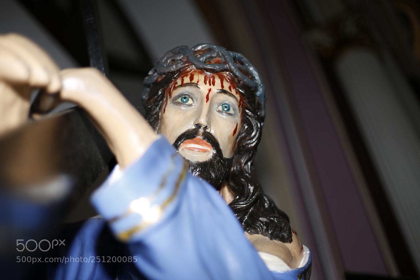 Canon EOS 6D + Canon EF 50mm F1.8 STM sample photo. Untitled photography