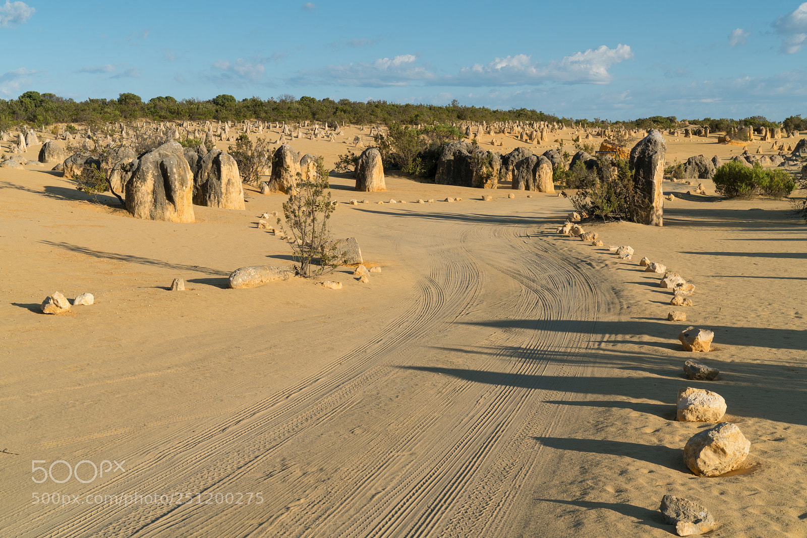 Sony a7R II sample photo. Nambung national park, western photography