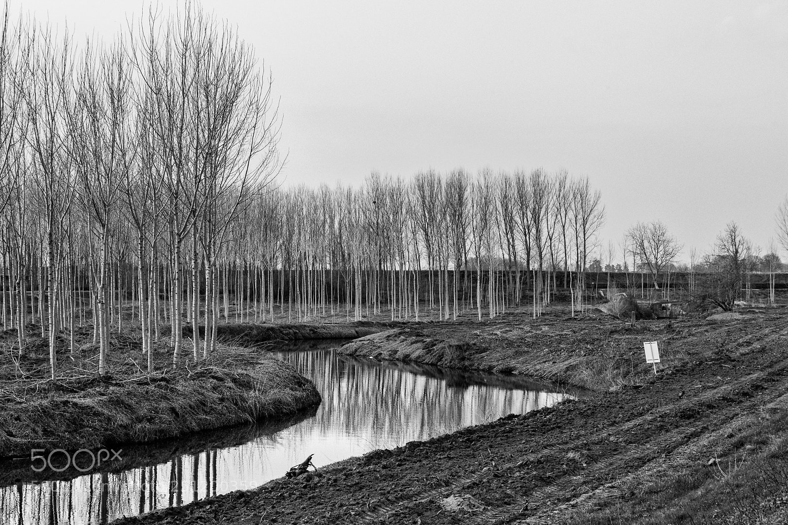 Canon EOS 5D Mark II sample photo. River photography