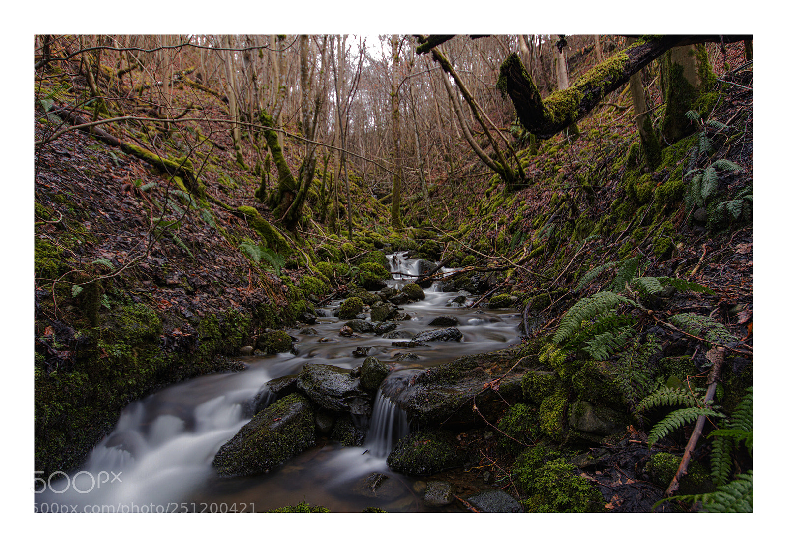 Canon EOS 7D sample photo. Dark river photography