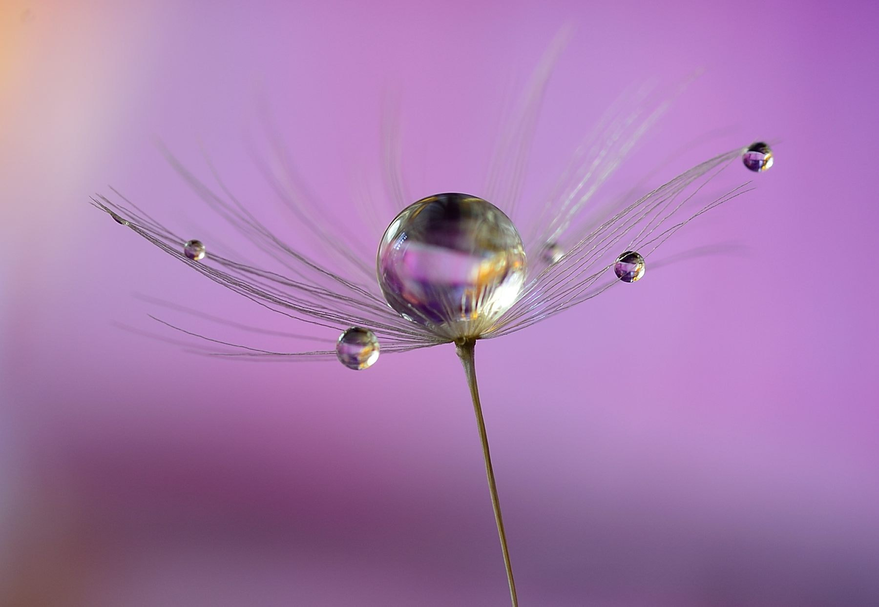 Sigma 105mm F2.8 EX DG OS HSM sample photo. Galaxy photography