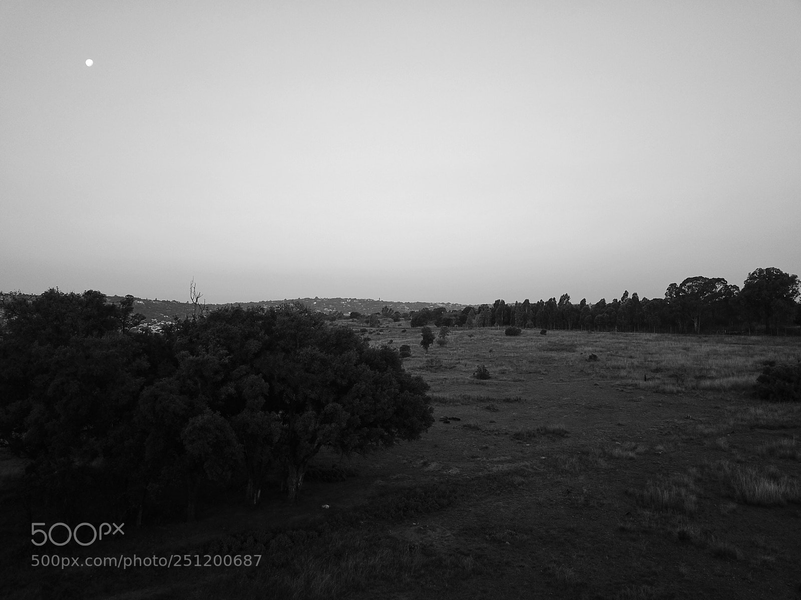 DJI FC220 sample photo. Untitled photography