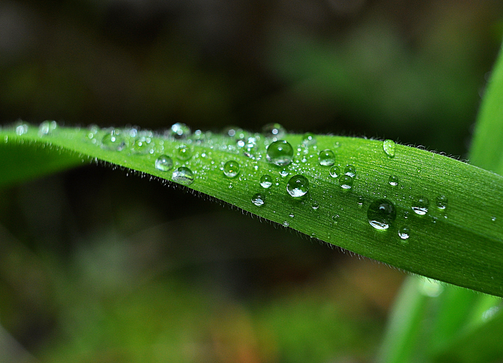 AF Nikkor 28mm f/2.8 sample photo. A photography