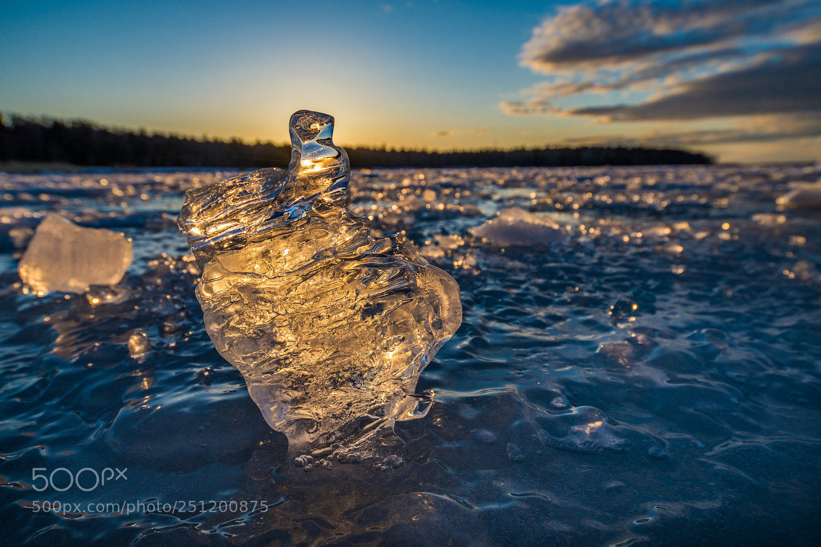 Nikon D610 sample photo. Golden ice photography