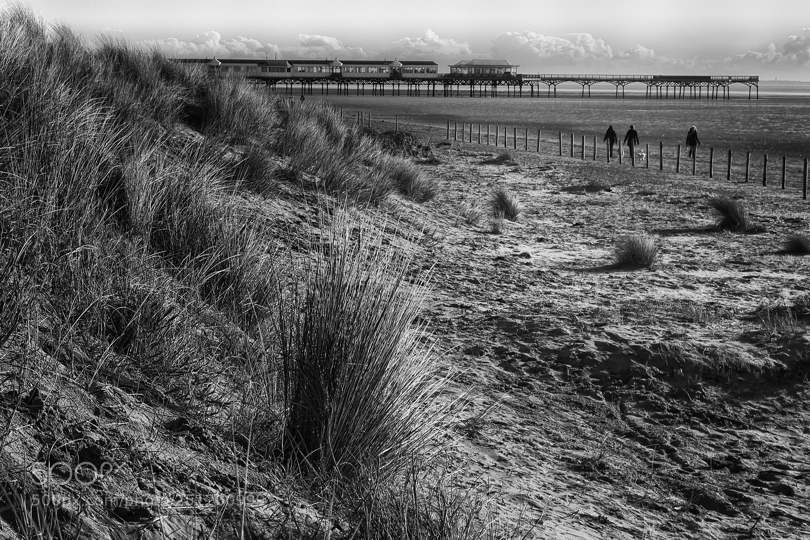 Nikon D3300 sample photo. Afternoon stroll photography