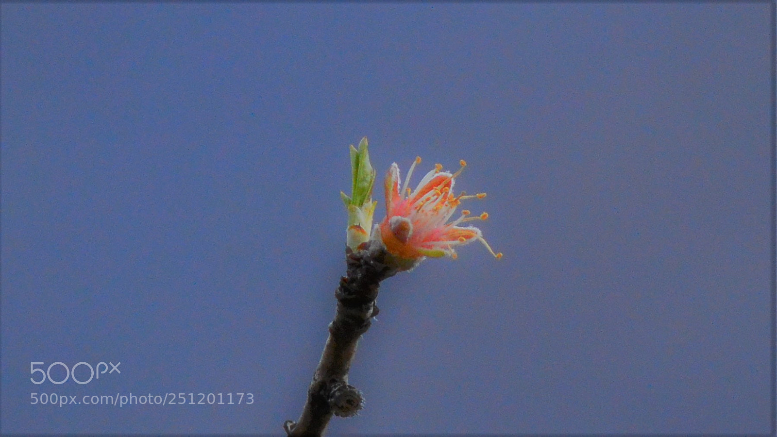 Nikon D3200 sample photo. Untitled photography