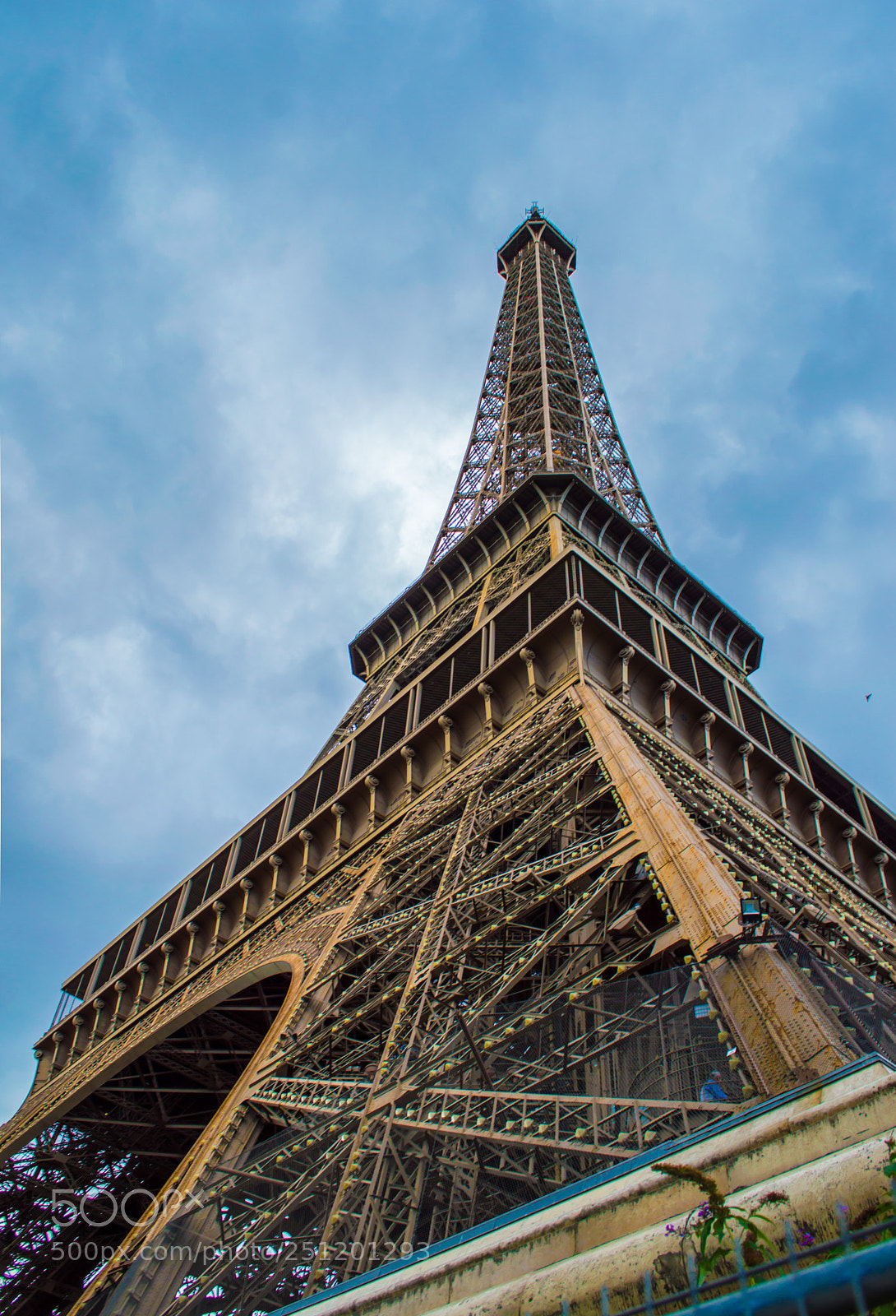 Nikon D3200 sample photo. La dame photography