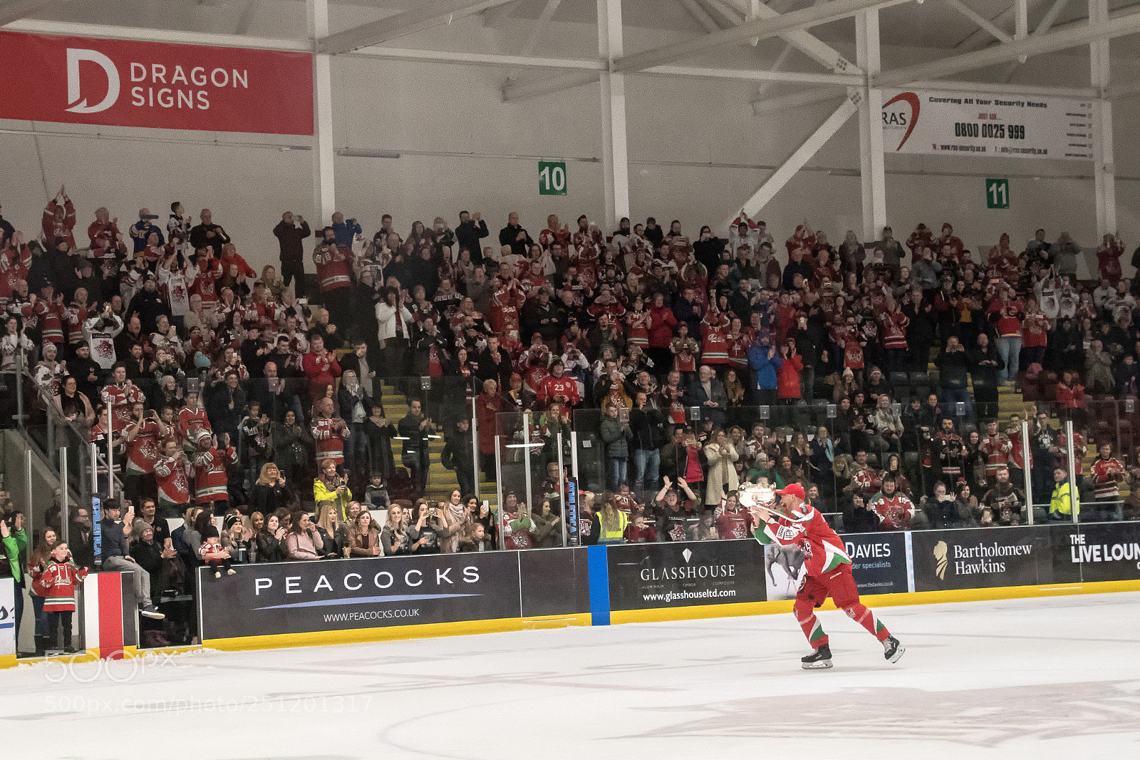 Nikon D500 sample photo. Cardiff devils - elite photography